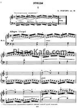 Этюды: Для фортепиано. Соч. 66.