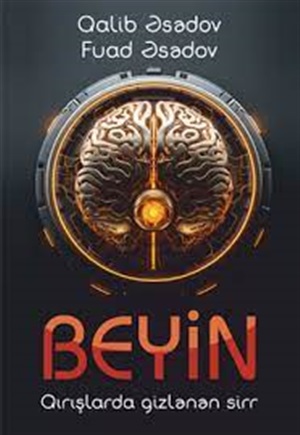 Beyin: Qırışlarda gizlənən sirr