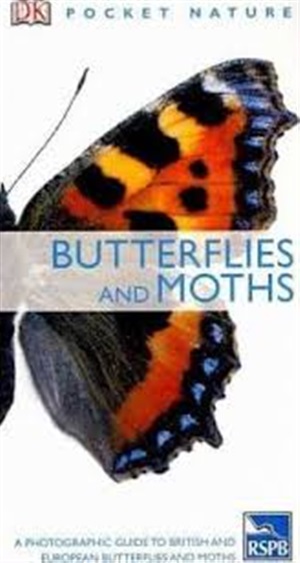 Butterflies And Moths