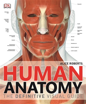 Human Anatomy