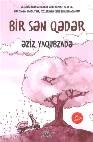 Bir sən qədər