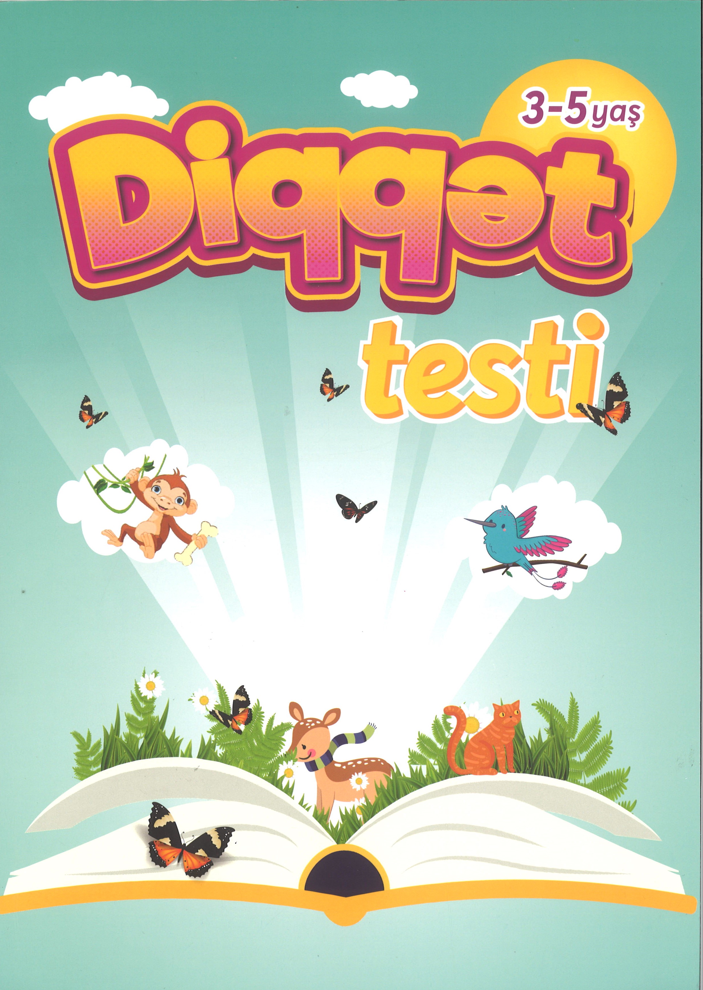 Diqqət testi