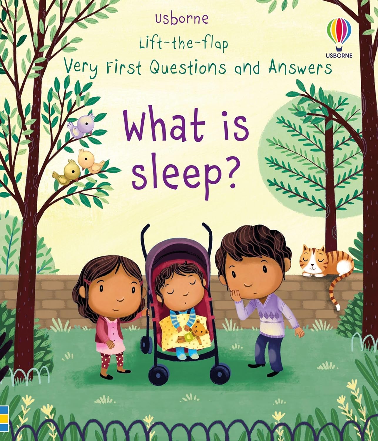 Lift-The-Flap Very First Questions and Answers What Is Sleep?