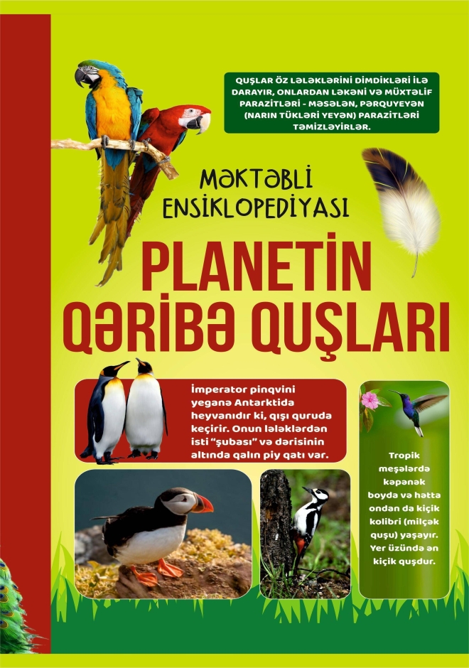 Planetin qəribə quşları