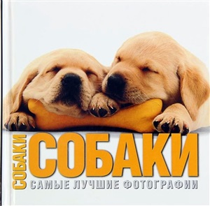 Собаки. Самые лучшие фотографии