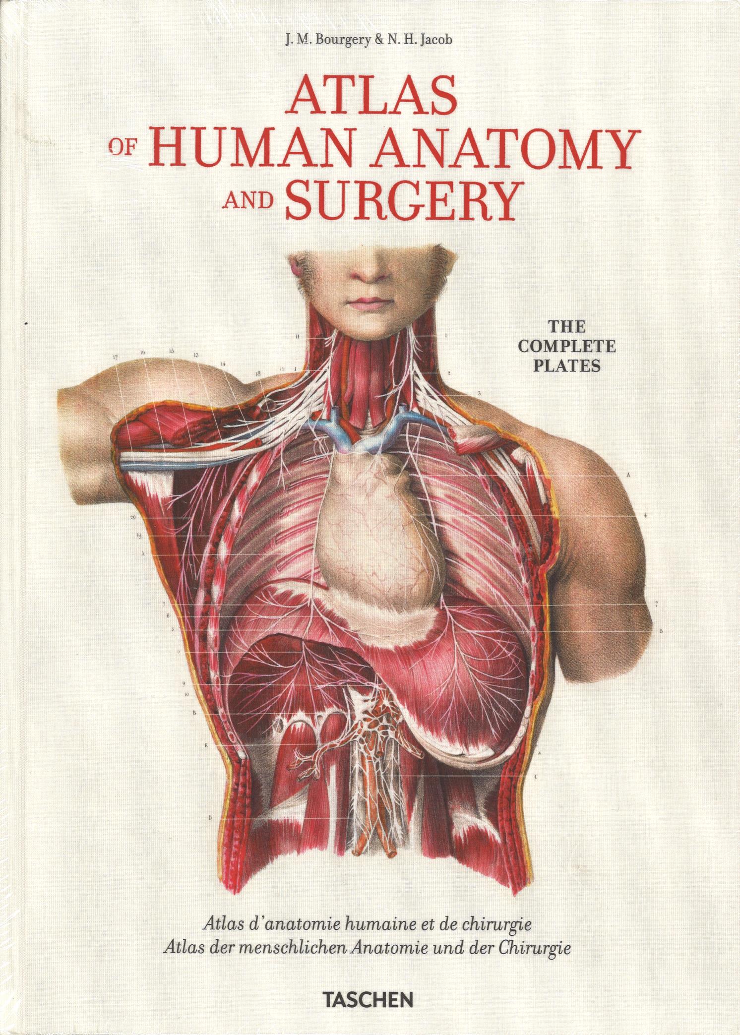 Bourgery. Atlas of Human Anatomy and Surgery