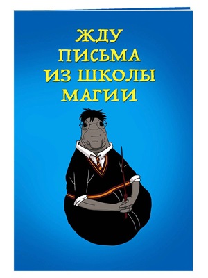 Жду письма из школы магии (блокнот в мягкой обложке линейку)