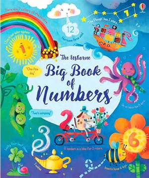 BIG BOOK OF NUMBERS