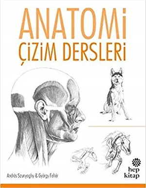 Anatomi Çizim Dersleri