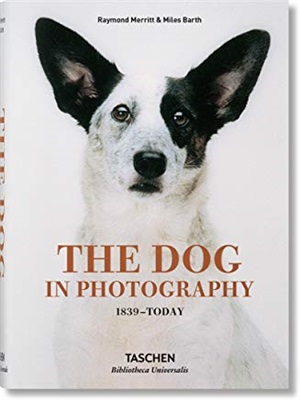 The Dog in Photography 1839-Today