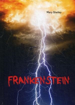 Frankenstein = Франкенштейн: роман на англ.яз