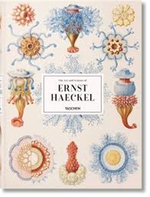 Haeckel