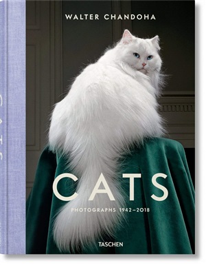 Walter Chandoha. Cats. Photographs 