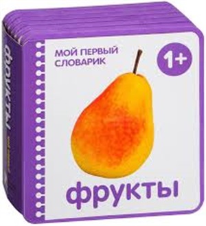 Мой первый словарик. Фрукты