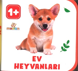 Ev heyvanları (1+)