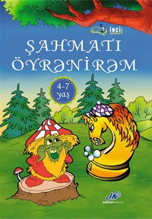 Şahmatı öyrənirəm