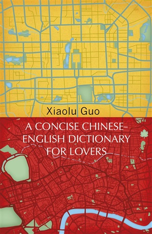 A Concise Chinese-English Dictionary for