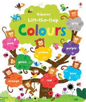 LIFT THE FLAP COLOURS BOOK