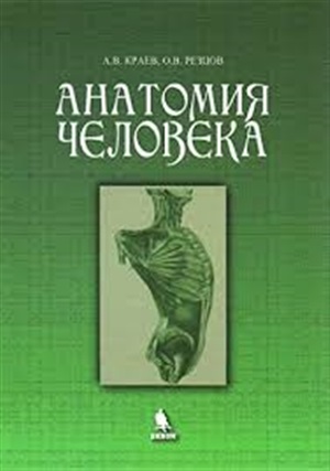 Анатомия человека. Учебное пособие