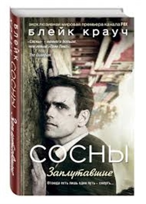 Сосны. Заплутавшие