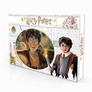 CA _ LAÇO _ HARRY POTTER 250 PARÇA PUZZLE