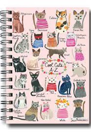 DEFFTER _ LOVELY SPR / 20*28 COOL CATS