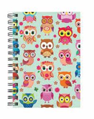 DEFFTER _ LOVELY SPR / 14*20 HAPPY OWLS