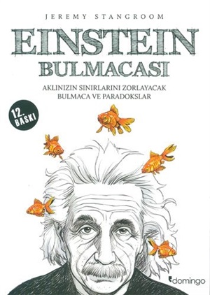 Einstein Bulmacası