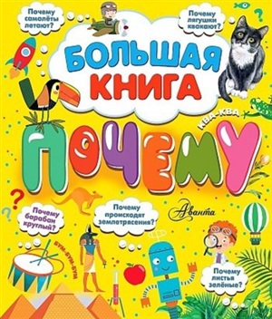 Большая книга почему