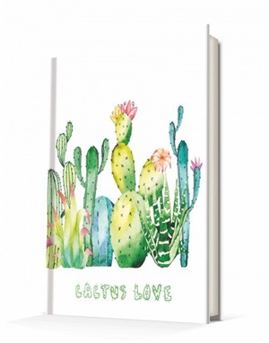 Deffter _ CACTUS / CACTUS LOVE - 2