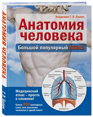 Анатомия человека: большой популярный атлас