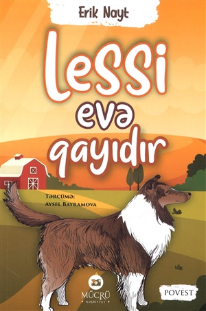 Lessi evə qayıdır