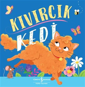 KIVIRCIK KEDİ