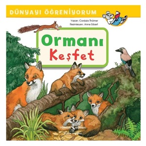 DÜN.ÖĞ.-ORMANI KEŞFET