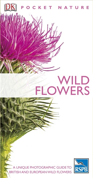 Wild Flowers