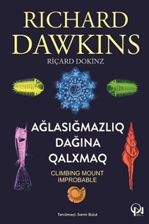 Ağılasığmazlıq dağına qalxmaq
