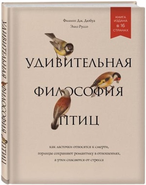 Удивительная философия птиц. Как ласточки относятся к смерти, горлицы сохраняют романтику в отношениях, а утки спасаются от стресса